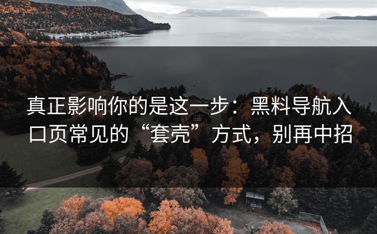 真正影响你的是这一步：黑料导航入口页常见的“套壳”方式，别再中招