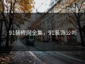 91装修网全集，91装饰公司