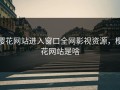 樱花网站进入窗口全网影视资源，樱花网站是啥