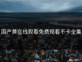国产黄在线观看免费观看不卡全集