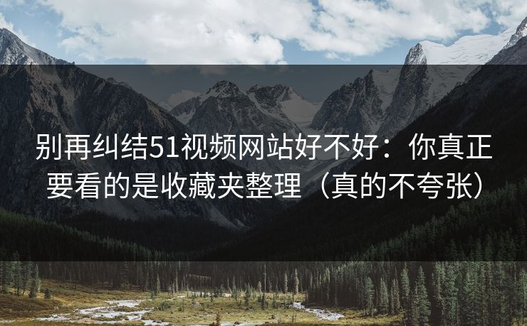 别再纠结51视频网站好不好：你真正要看的是收藏夹整理（真的不夸张）